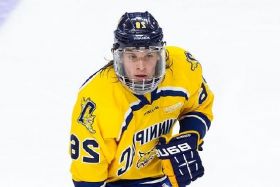 Quinnipiac Bobcats