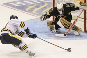 University of Manitoba Bisons